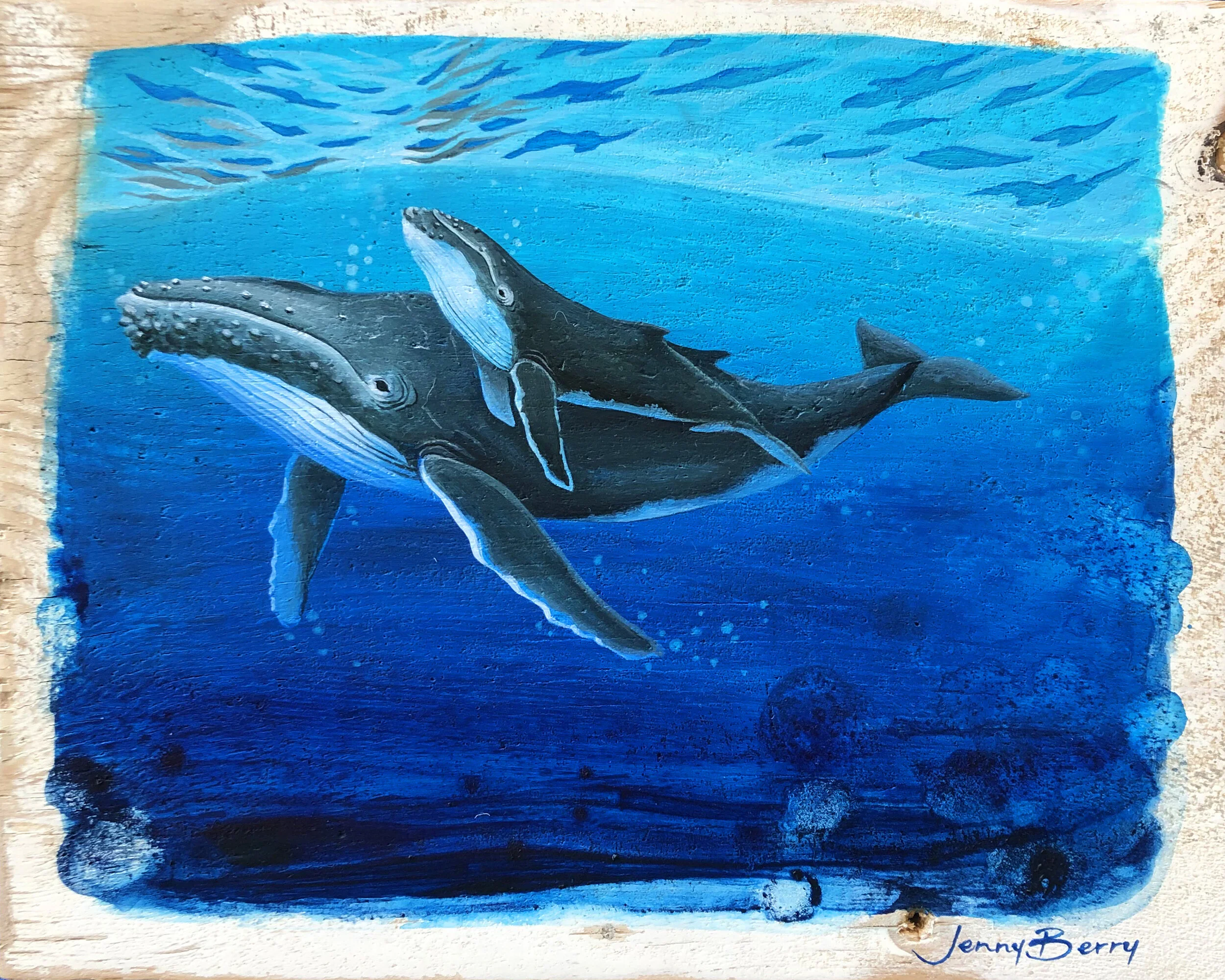 Humpback Whales - Ocean Between Our Love — Jenny Berry Marine Life